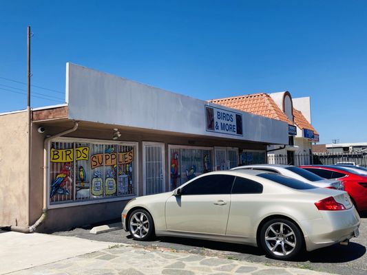 Birds & More by null