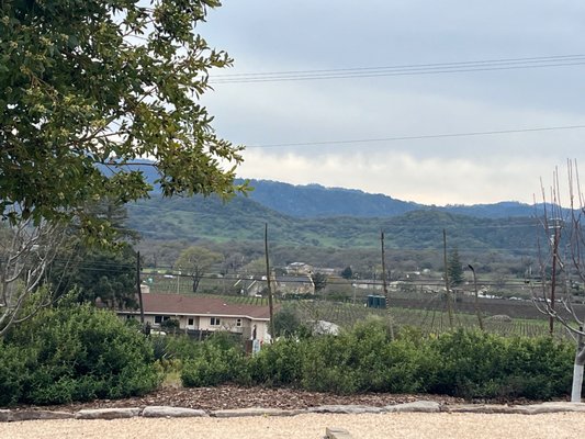 Robert Sinskey Vineyards by null