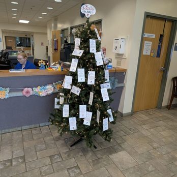 West Shore Branch YMCA - Christmas in July!! - Gyms Near Me - Camp Hill, Pennsylvania West Shore Branch YMCA - Christmas in July!! - Gyms Near Me - Camp Hill, Pennsylvania