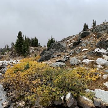 Medicine Bow National Forest - Parks Near Me - Buford, Wyoming