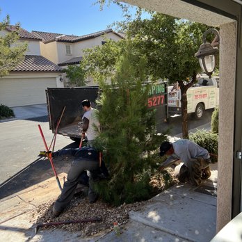 AAA Landscaping - two men working on a tree - Landscaping Near Me - Henderson, Nevada