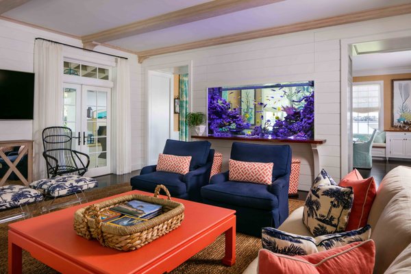 Jellyfish Art by null