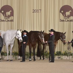 Hidden Creek Ranch - It's always a team effort.