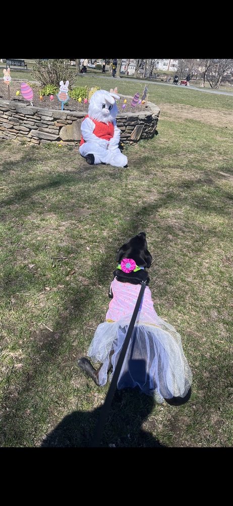 Rose Larisa Memorial Park