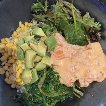 Ikkyu - Spicy salmon poke - Ramen Near Me - Boca Raton, Florida Ikkyu - Spicy salmon poke - Ramen Near Me - Boca Raton, Florida