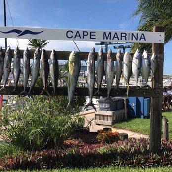 Fin & Fly Fishing Charters - Boat Charters Near Me - Cocoa Beach, Florida Fin & Fly Fishing Charters - Boat Charters Near Me - Cocoa Beach, Florida