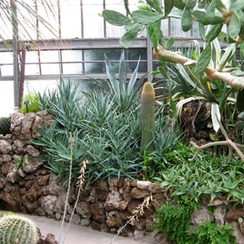 Anna Scripps Whitcomb Conservatory - Botanical Gardens Near Me - Detroit, Michigan Anna Scripps Whitcomb Conservatory - Botanical Gardens Near Me - Detroit, Michigan