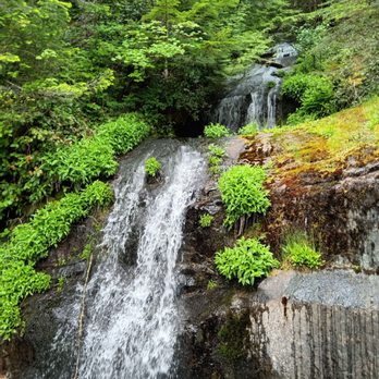 Marys Peak - Artesian spring - Hiking Near Me - Philomath, Oregon Marys Peak - Artesian spring - Hiking Near Me - Philomath, Oregon