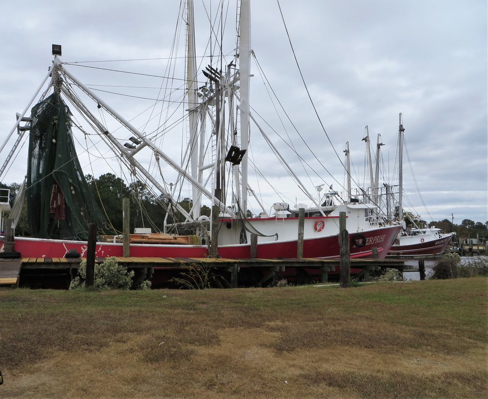 Graham Shrimp Logo