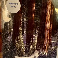 Kaweah Arts - Sequoia winter picture notecard