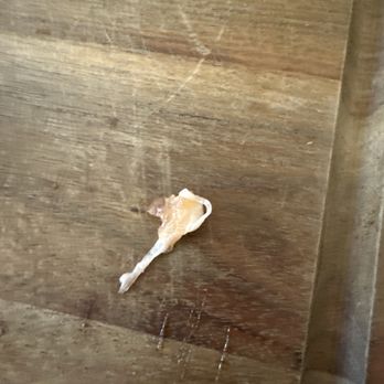Aloha Fresh - Huge 1inch found in poke bowl - Poke Near Me - San Jose, California