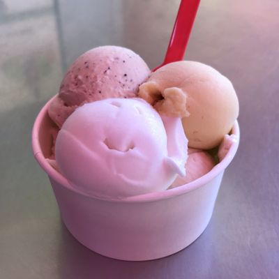 Daintree Ice Cream Company by null