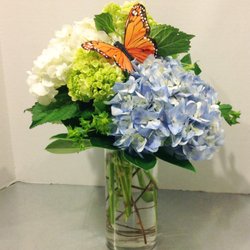 JL Designs