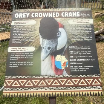 Cheyenne Mountain Zoo - Zoos Near Me - Colorado Springs, Colorado Cheyenne Mountain Zoo - Zoos Near Me - Colorado Springs, Colorado