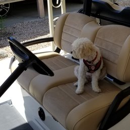 New front seat