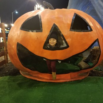 Mr Jack O' Lanterns Pumpkins - Giant Pumkin!! - Christmas Trees Near Me - Brea, California Mr Jack O' Lanterns Pumpkins - Giant Pumkin!! - Christmas Trees Near Me - Brea, California