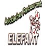 Photo of Elefant