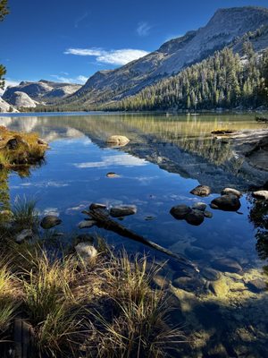 Tenaya Lake by null