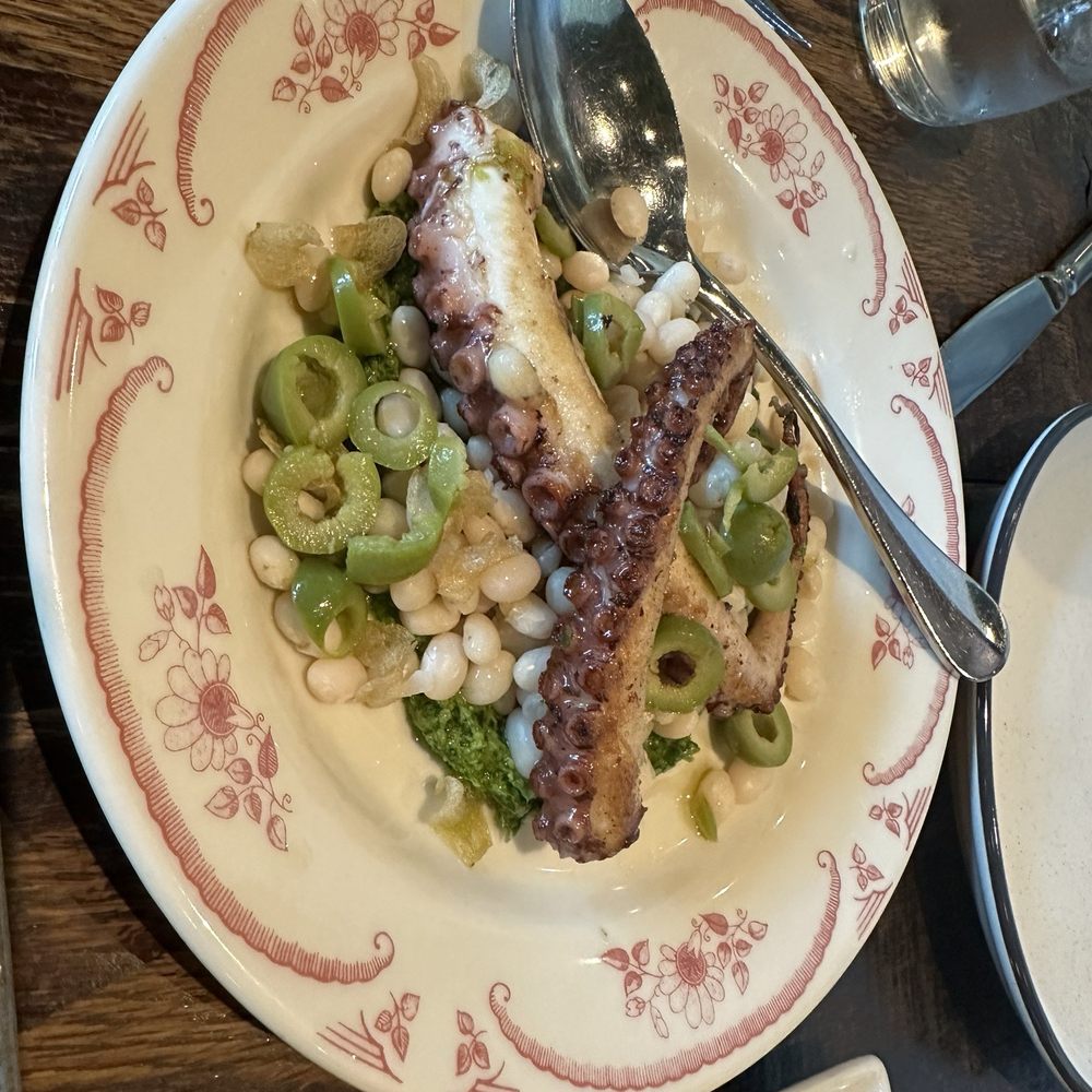 Gemma - Octopus - French Near Me - Dallas, Texas