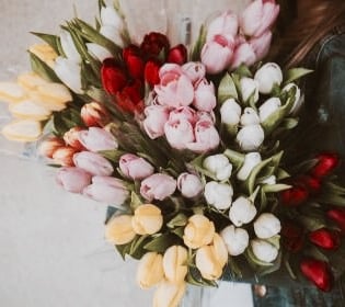 Daphne European Skincare & Sugaring Studio by null