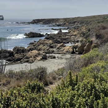Elephant Seal Vista Point - Beaches Near Me - San Simeon, California