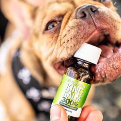 Rise Above CBD and Smoke Shop