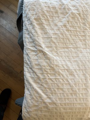 Humboldt Bay Social Club by null