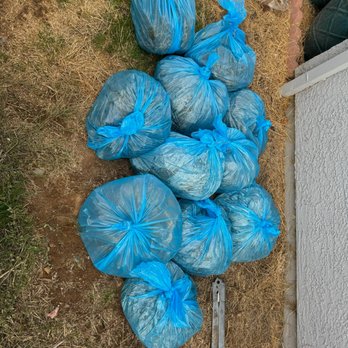 BAAM Poop Be Gone - Large job - Pet Waste Removal Near Me BAAM Poop Be Gone - Large job - Pet Waste Removal Near Me