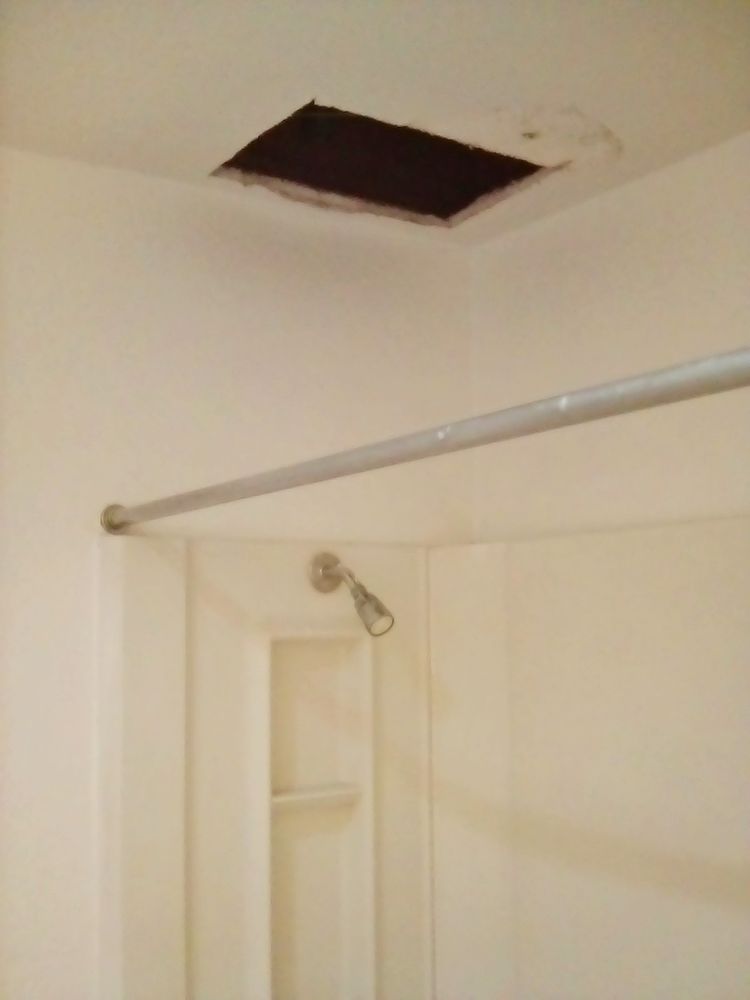 Slide of Got Plumbing