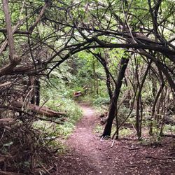 Cedar Bend Nature Area