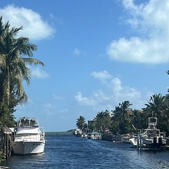Buzzard's Roost Grill & Pub - The back of the restaurant - Seafood Near Me - Key Largo, Florida