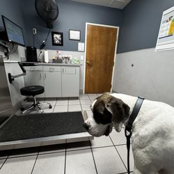 Wilsonville Veterinary Clinic - Inside
