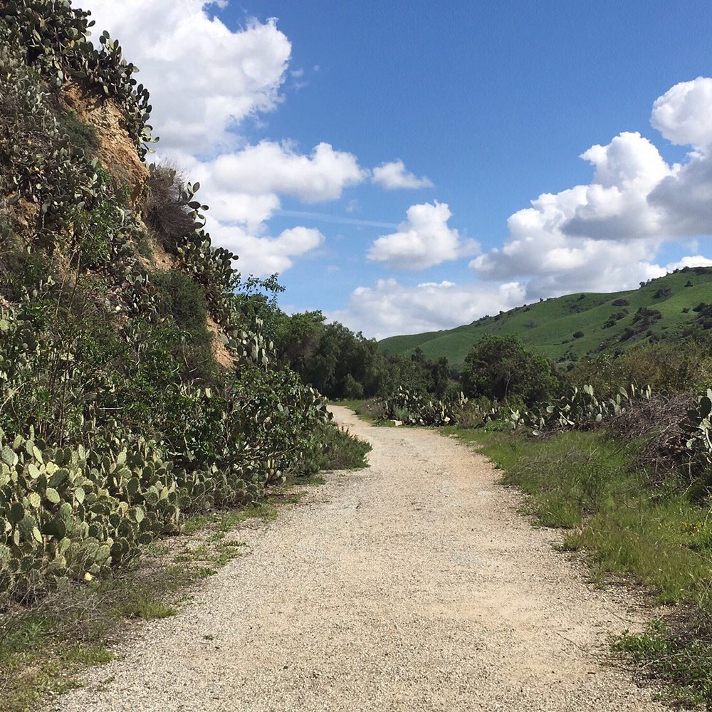 Sycamore Canyon Trail - Beginning of the trail. - Parks Near Me - Whittier, California Sycamore Canyon Trail - Beginning of the trail. - Parks Near Me - Whittier, California