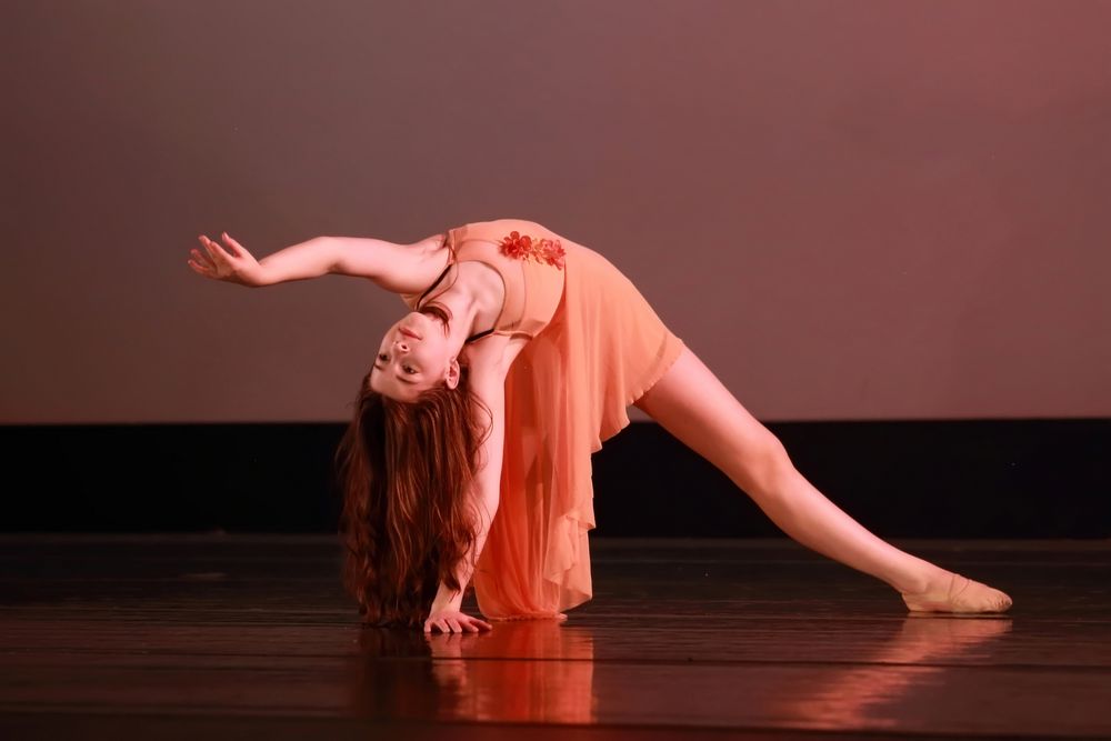 North Carolina Dance Institute Logo
