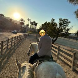 Circle K Riding Stables - Riding off into the sunset