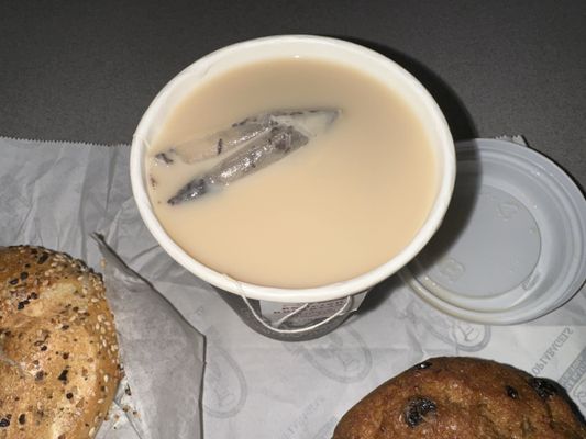 Utopia Bagels by null