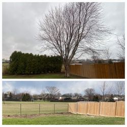 Bluewater Tree Service