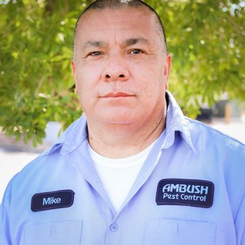 Ambush Pest Control - Mike - Pest Control Near Me - Henderson, Nevada Ambush Pest Control - Mike - Pest Control Near Me - Henderson, Nevada