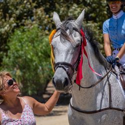 Pure Equus - Teddy wins 2nd & 3rd place at his weekend jumper competition