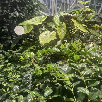 Amazon Spheres - Botanical Gardens Near Me - Seattle, Washington Amazon Spheres - Botanical Gardens Near Me - Seattle, Washington
