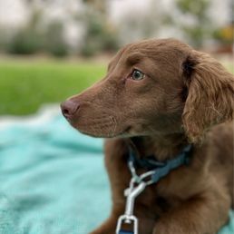 First outing to the park! First outing to the park!