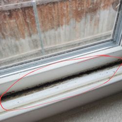 Realty Asset Management - Mold in master bathtub window
