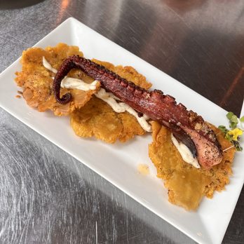 Renzo's - Octopus - Argentine Near Me - Tampa, Florida