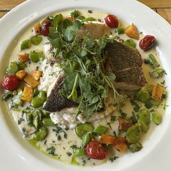 Tarpy's - Sea bass - New American Near Me - Monterey, California Tarpy's - Sea bass - New American Near Me - Monterey, California