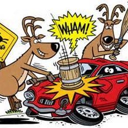 Pool's Body Shop - Don't let the DEER get the best of you. Let us help.