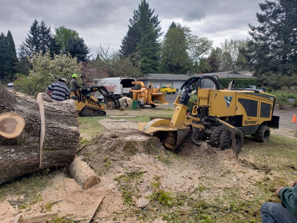Evergreen Landscape Care & Tree Services - tree service in Beaverton , OR