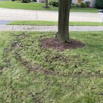 Bur Oak Group - Snow Removal Near Me - Maple Park, Illinois