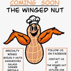 The Winged Nut