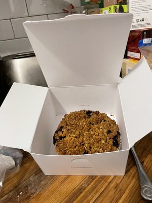 Winston Pies by null