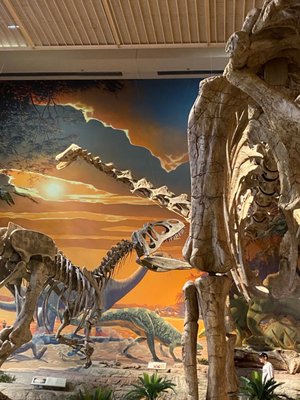 New Mexico Museum of Natural History and Science by null